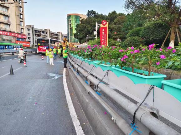 花映兩橋·綠滿(mǎn)酒城—興綠園林公司實(shí)施沱江一橋、連心橋景觀(guān)升級(jí)工程   