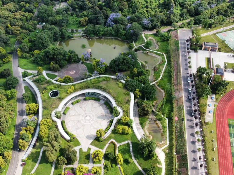 張壩桂圓林海綿化改造工程